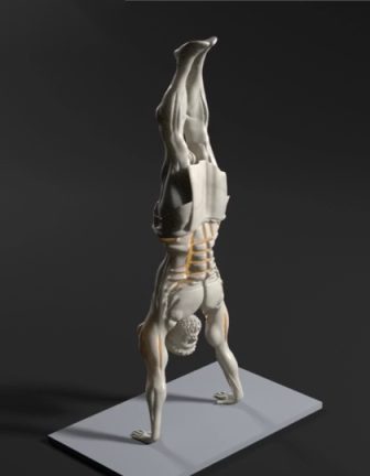Calix holding a handstand, seen from a raised three-quarter angle